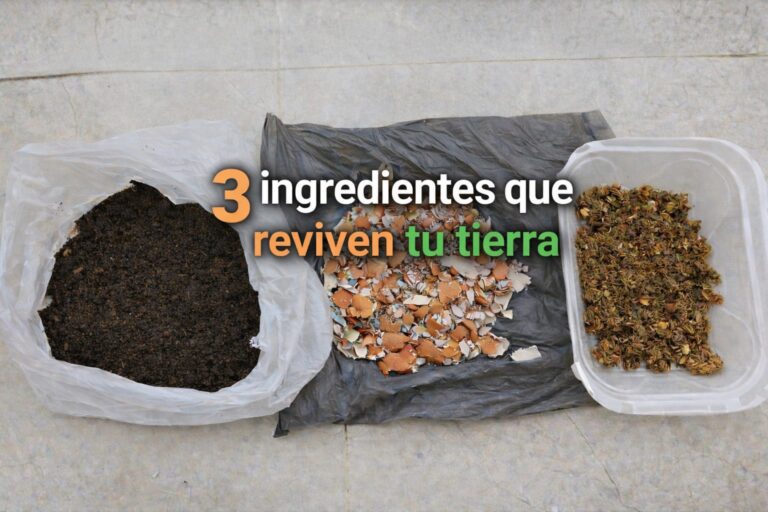 Tres ingredientes de cocina que pueden transformar tu tierra