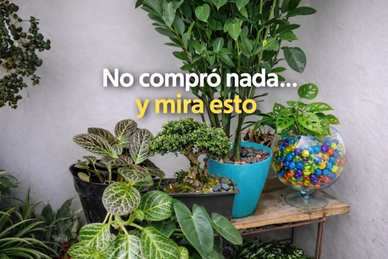 Cómo reutilizar objetos de casa para decorar con plantas (lo que aprendí visitando a mi madre)