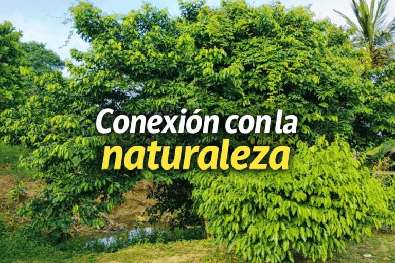 El secreto de este espacio rural que te atrapa